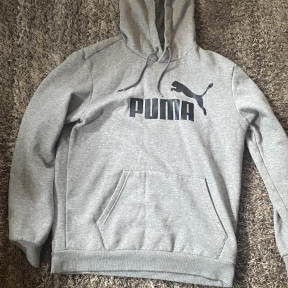 Essentials Big Logo Men's Hoodie